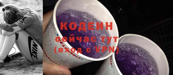крисы Абаза