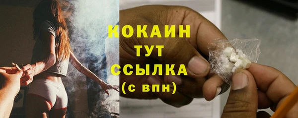 крисы Абаза