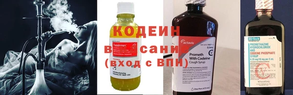 крисы Абаза