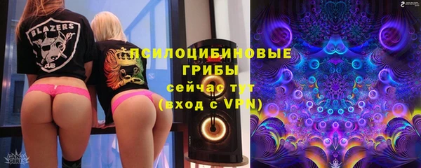 шишки Абинск