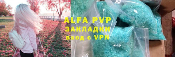 крисы Абаза